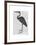 Blue Heron 3-Fab Funky-Framed Art Print