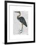 Blue Heron 3-Fab Funky-Framed Art Print