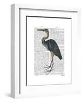 Blue Heron 3-Fab Funky-Framed Art Print