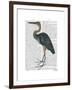 Blue Heron 3-Fab Funky-Framed Art Print