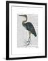 Blue Heron 3-Fab Funky-Framed Art Print