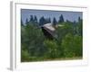 Blue Heron Flying-Steve Terrill-Framed Photographic Print