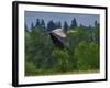 Blue Heron Flying-Steve Terrill-Framed Photographic Print