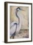 Blue Heron I-Patricia Pinto-Framed Premium Giclee Print