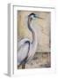 Blue Heron I-Patricia Pinto-Framed Premium Giclee Print