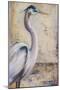 Blue Heron I-Patricia Pinto-Mounted Premium Giclee Print
