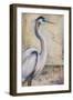 Blue Heron I-Patricia Pinto-Framed Art Print