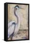 Blue Heron I-Patricia Pinto-Framed Stretched Canvas