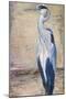 Blue Heron II-Patricia Pinto-Mounted Art Print