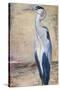 Blue Heron II-Patricia Pinto-Stretched Canvas