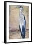 Blue Heron II-Patricia Pinto-Framed Art Print