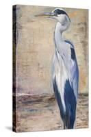 Blue Heron II-Patricia Pinto-Stretched Canvas