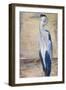 Blue Heron II-Patricia Pinto-Framed Premium Giclee Print