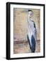 Blue Heron II-Patricia Pinto-Framed Premium Giclee Print