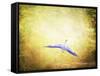 Blue Heron in the Light-Jai Johnson-Framed Stretched Canvas