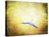 Blue Heron in the Light-Jai Johnson-Stretched Canvas