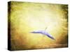 Blue Heron in the Light-Jai Johnson-Stretched Canvas