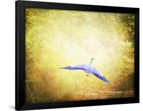 Blue Heron in the Light-Jai Johnson-Framed Giclee Print