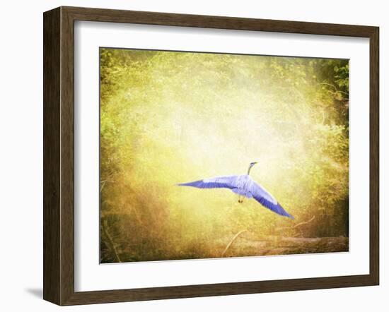 Blue Heron in the Light-Jai Johnson-Framed Giclee Print