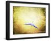 Blue Heron in the Light-Jai Johnson-Framed Giclee Print