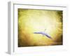 Blue Heron in the Light-Jai Johnson-Framed Giclee Print