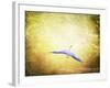 Blue Heron in the Light-Jai Johnson-Framed Giclee Print