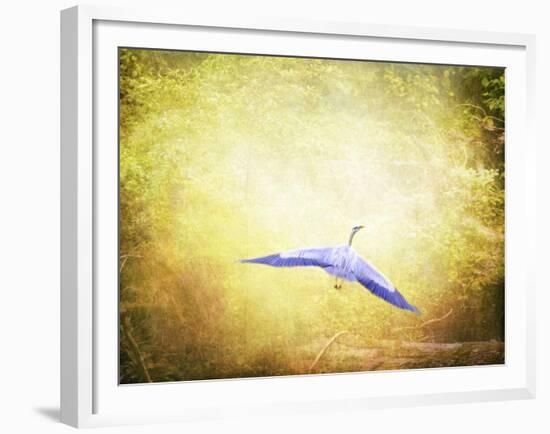 Blue Heron in the Light-Jai Johnson-Framed Giclee Print