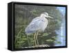 Blue Heron Moon-Bruce Dumas-Framed Stretched Canvas