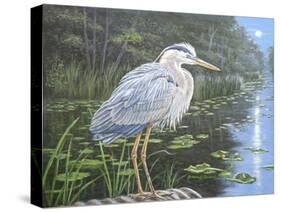 Blue Heron Moon-Bruce Dumas-Stretched Canvas