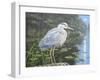 Blue Heron Moon-Bruce Dumas-Framed Giclee Print