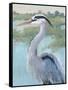 Blue Heron Portrait I-Tim OToole-Framed Stretched Canvas