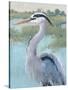 Blue Heron Portrait I-Tim OToole-Stretched Canvas