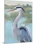 Blue Heron Portrait I-Tim OToole-Mounted Art Print