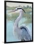 Blue Heron Portrait I-Tim OToole-Framed Art Print