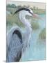 Blue Heron Portrait II-Tim OToole-Mounted Art Print