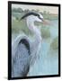 Blue Heron Portrait II-Tim OToole-Framed Art Print