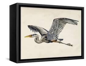 Blue Heron Rendering III-Melissa Wang-Framed Stretched Canvas