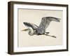 Blue Heron Rendering III-Melissa Wang-Framed Art Print