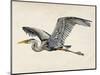 Blue Heron Rendering III-Melissa Wang-Mounted Art Print