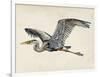 Blue Heron Rendering III-Melissa Wang-Framed Art Print