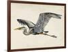 Blue Heron Rendering III-Melissa Wang-Framed Art Print