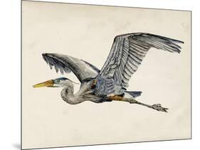 Blue Heron Rendering III-Melissa Wang-Mounted Art Print