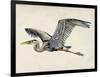 Blue Heron Rendering III-Melissa Wang-Framed Art Print