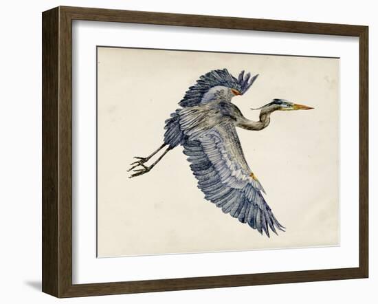 Blue Heron Rendering IV-Melissa Wang-Framed Art Print