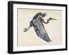 Blue Heron Rendering IV-Melissa Wang-Framed Art Print