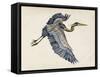 Blue Heron Rendering IV-Melissa Wang-Framed Stretched Canvas