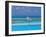 Blue Heron Standing in Water, Maldives, Indian Ocean-Papadopoulos Sakis-Framed Photographic Print