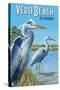 Blue Heron - Vero Beach, Florida-Lantern Press-Stretched Canvas