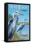 Blue Heron - Vero Beach, Florida-Lantern Press-Framed Stretched Canvas