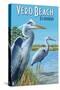 Blue Heron - Vero Beach, Florida-Lantern Press-Stretched Canvas